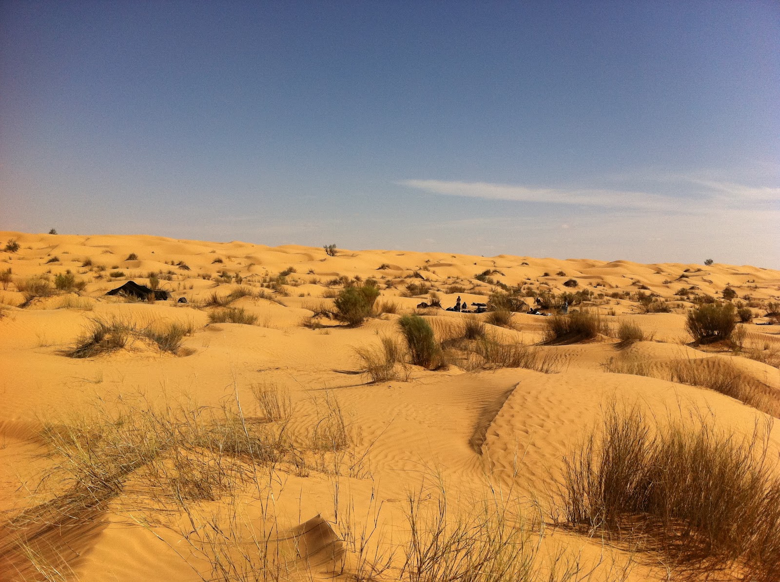 presentation de soi dans un site de rencontre