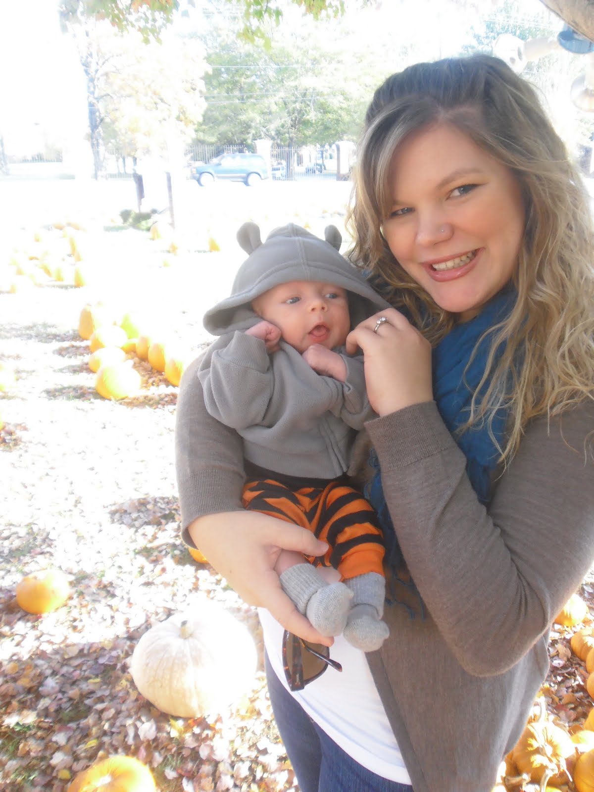 The Newfangled Housewife October 2011