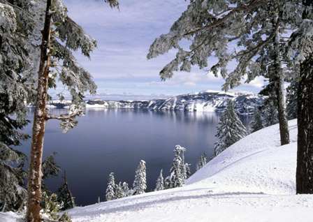 Snow covered tree and lake wallpapers