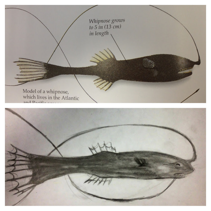 Art with Hannah: Memory, Observation, and Imagination Drawing