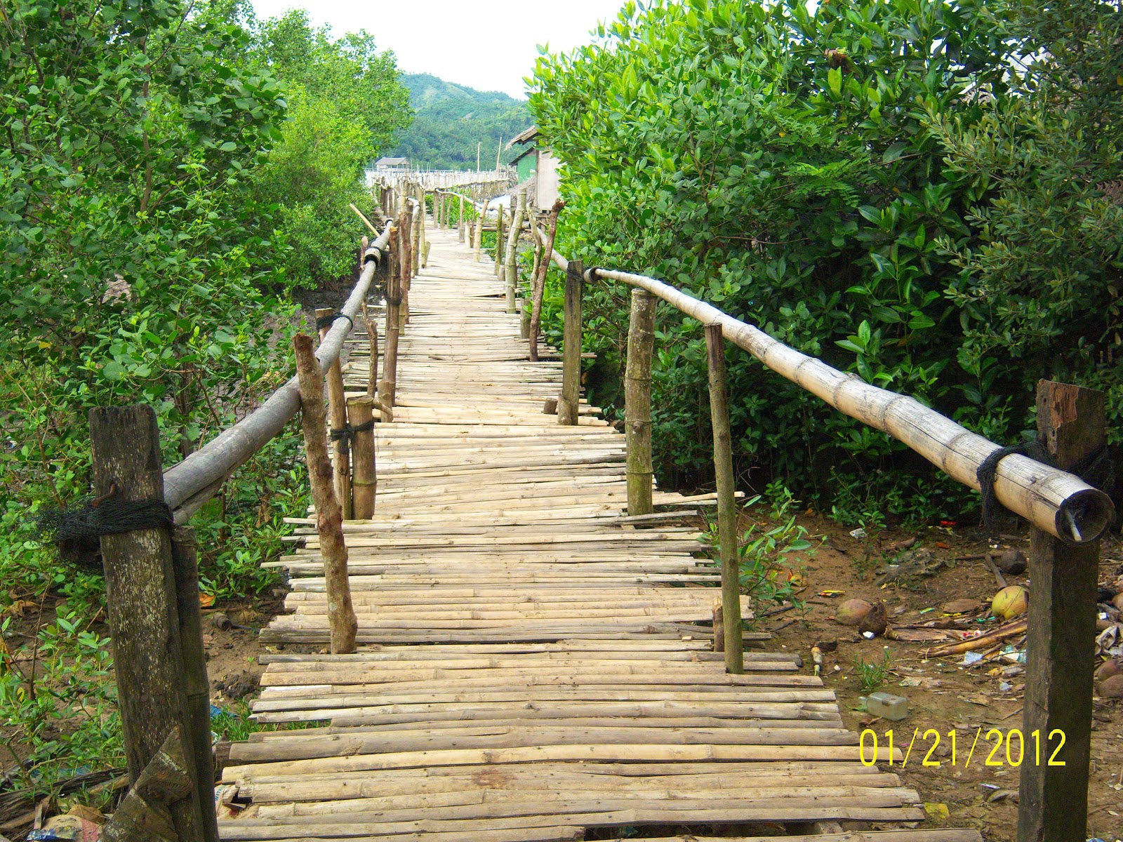 Thousand of places to Explore Masbate Philippines The Long Bamboo Bridge and Beach