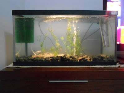 DSCN2856%5B1%5D.JPG