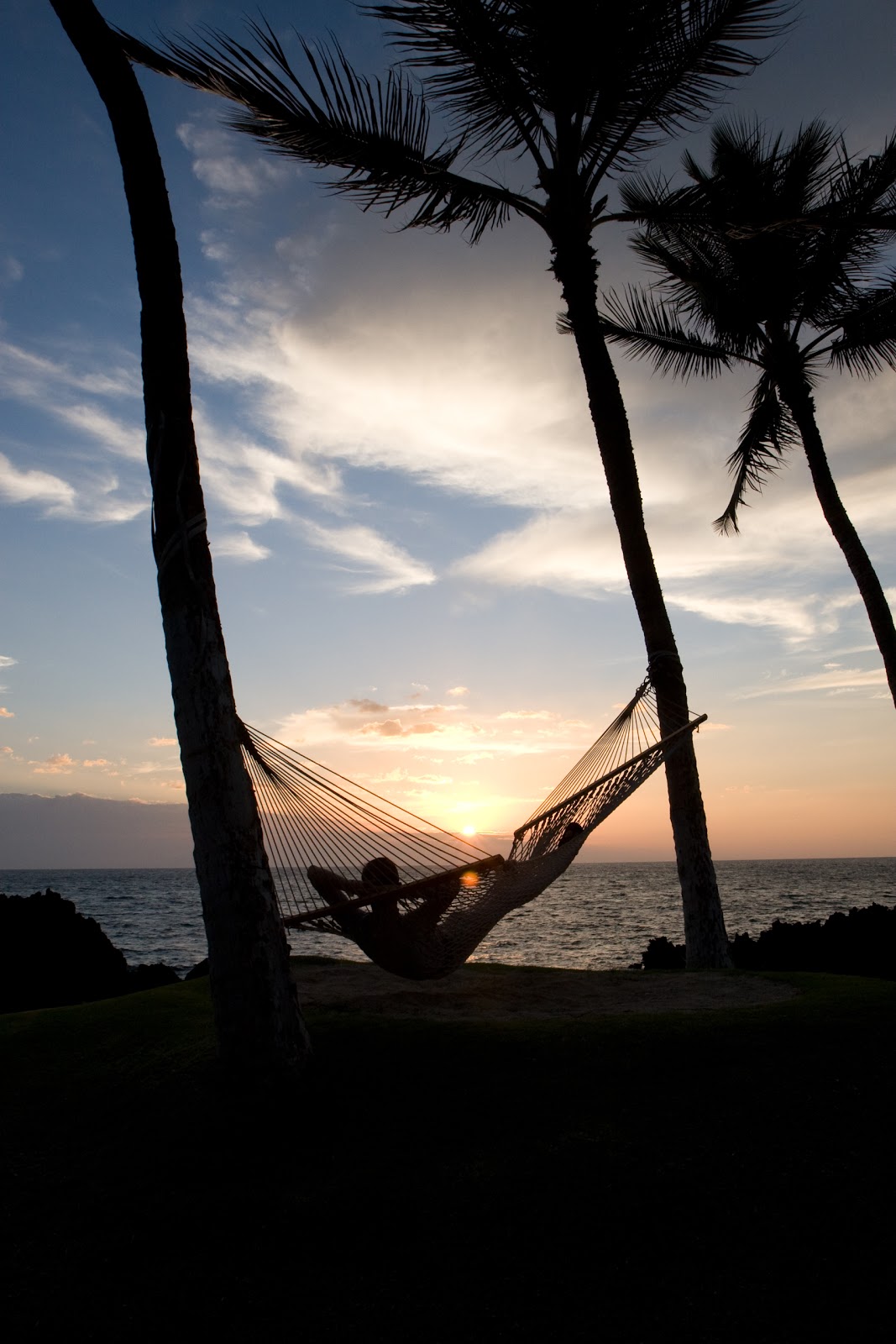 hammock