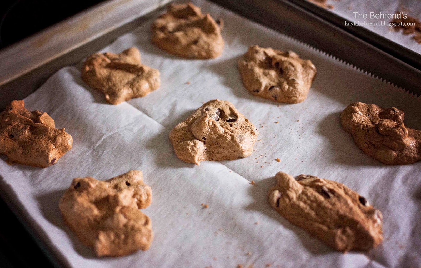 The Behrend's Chocolate Chip Meringue Cookies