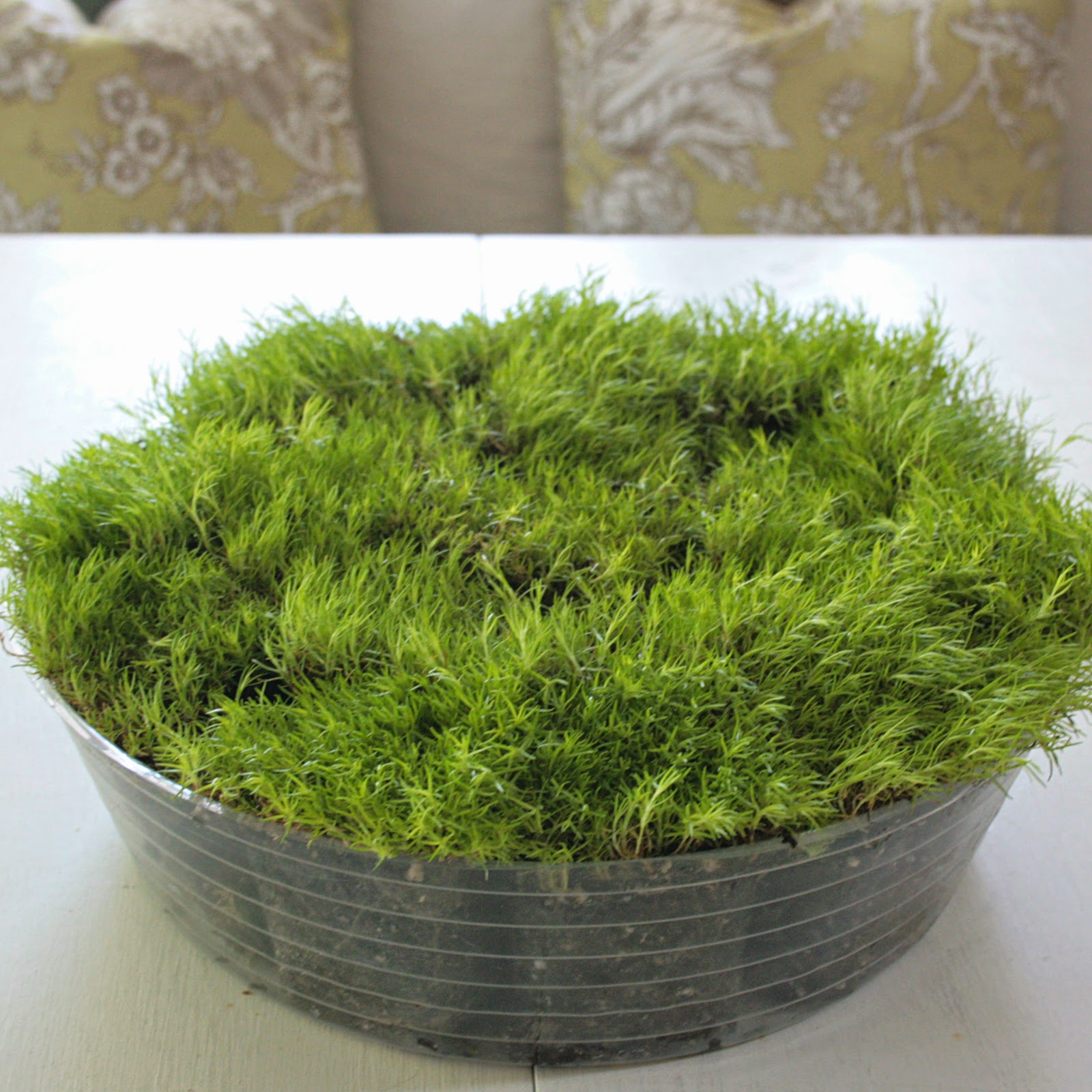 ciao! newport beach an easy moss centerpiece for Easter