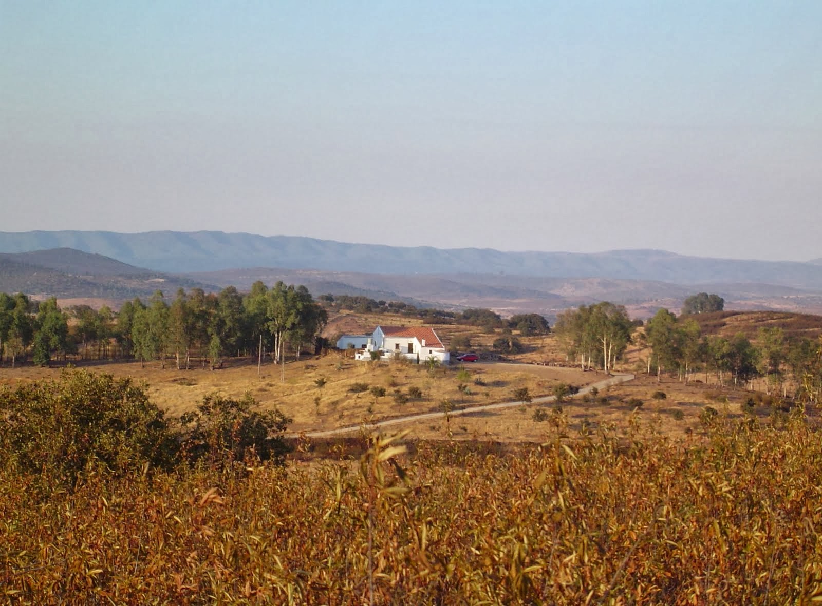 Montes de San Benito