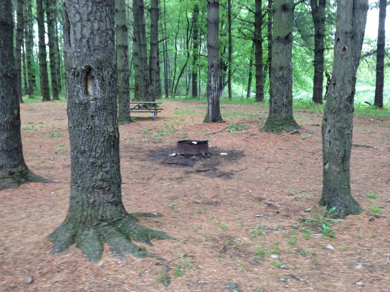 Hitchin' Up Portage Lakes State Park Nimisila Campground