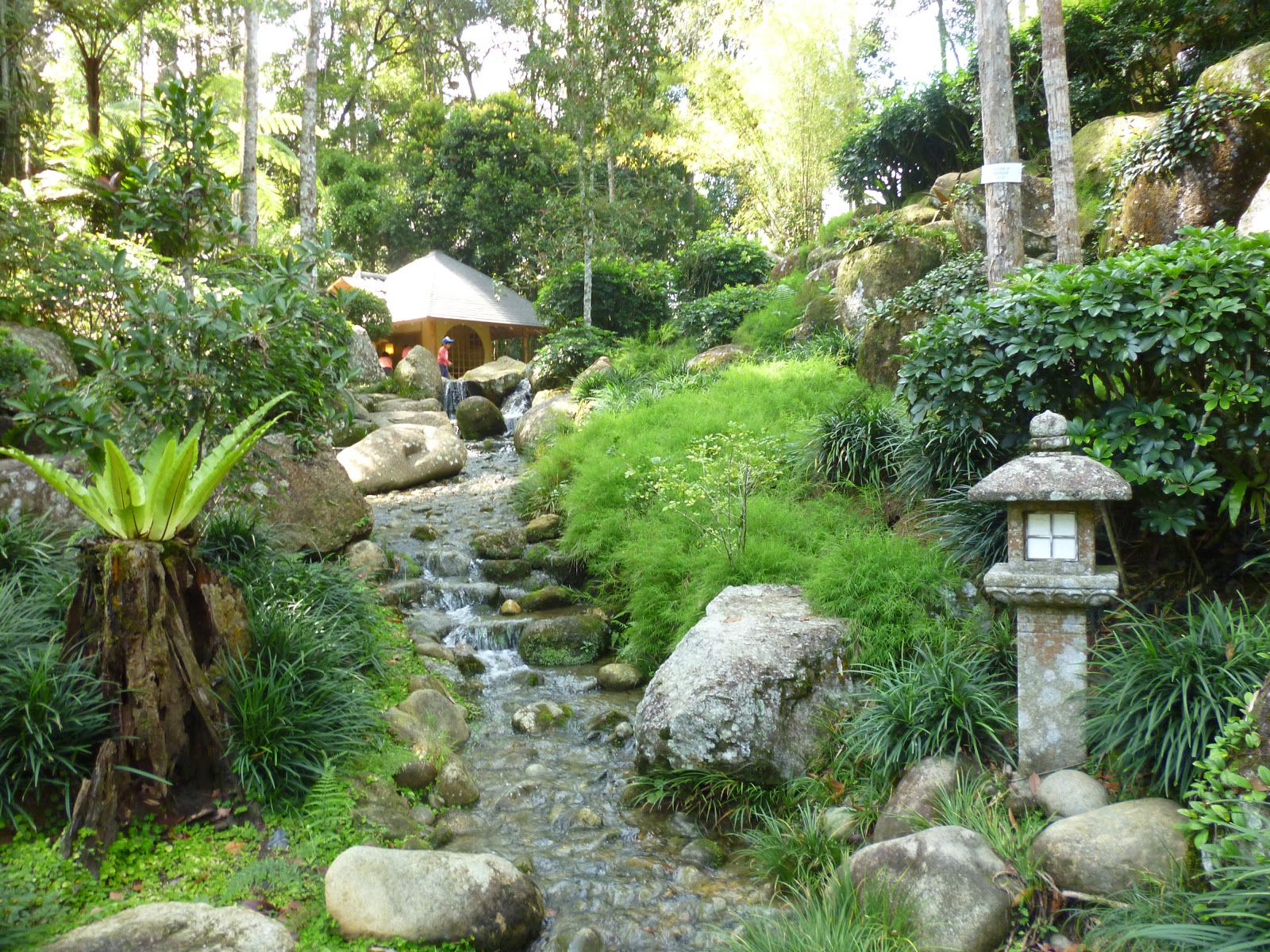 Bukit Tinggi Half Day Tour Ler Travel Diary 乐游记