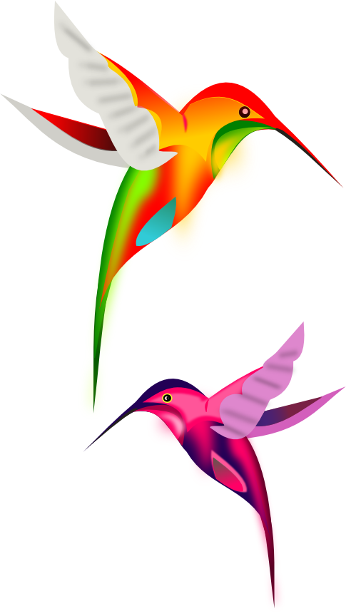 colibríes en vectores