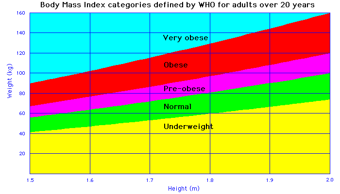 body fat percentage kilos body fat percentage kilos