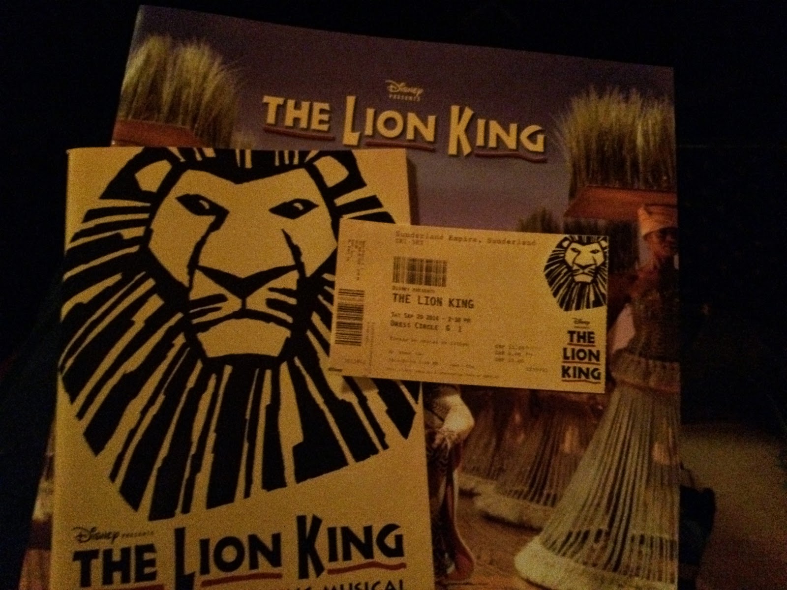 The Lion King Sunderland Journeys Are My Diary