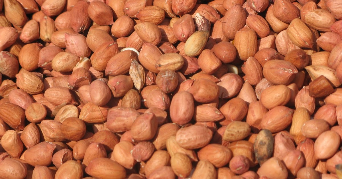 Groundnut (Peanut) Contract for Sale TradeInfoPortal