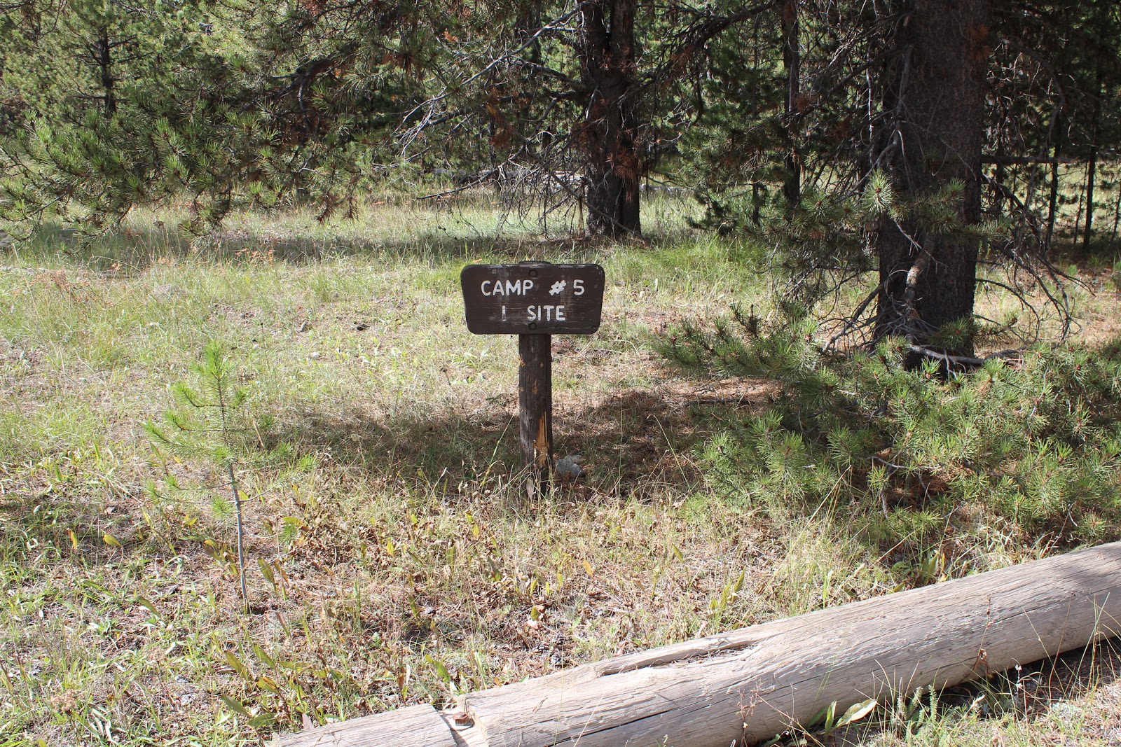 The Massey Family On the road again Camping along Grassy Lake Road