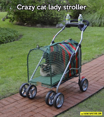 http://themetapicture.com/stroller-for-cat-people/