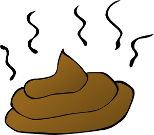 11971498111217377622nicubunu_Feces_svg_med.png