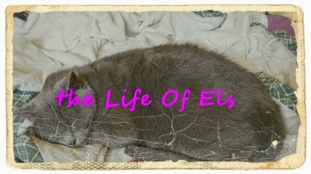 Els's Blog