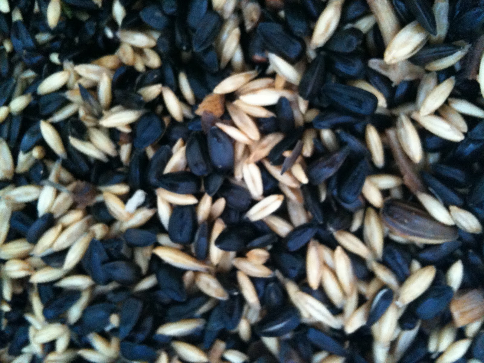 Soul Flower Farm Goats, Sprouts, Roots, and Shoots