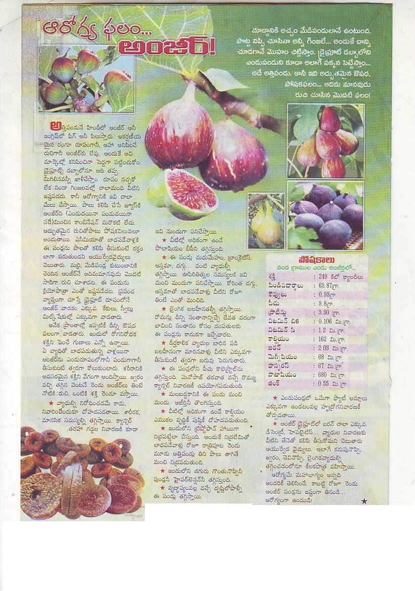 FIG ( FICUS CARICA ) ( ANJEER PANDU IN TELUGU ) DR. EVATURI