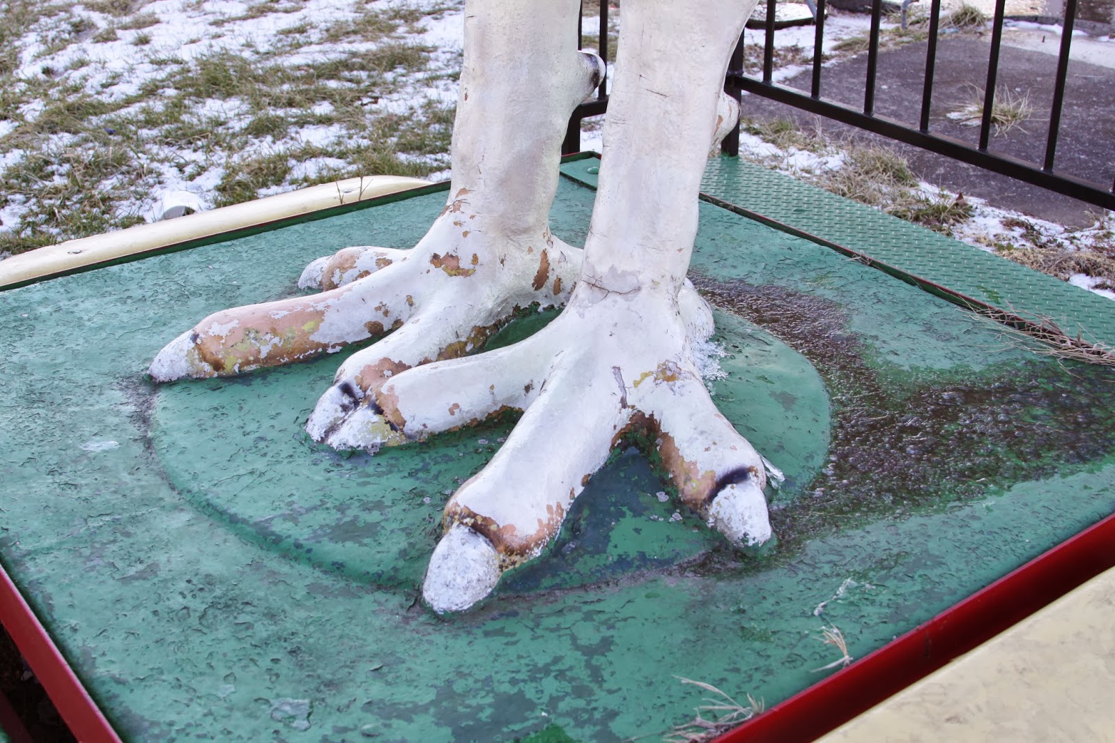BlueEyed Kentucky Rooster Run