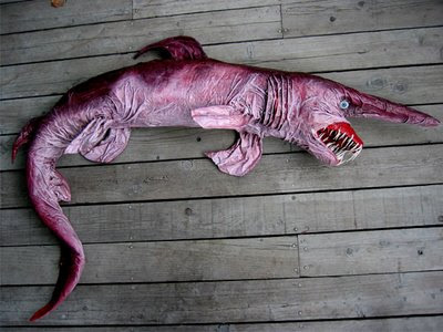 Tubarão raro e bizarro capturado no mar do Japão