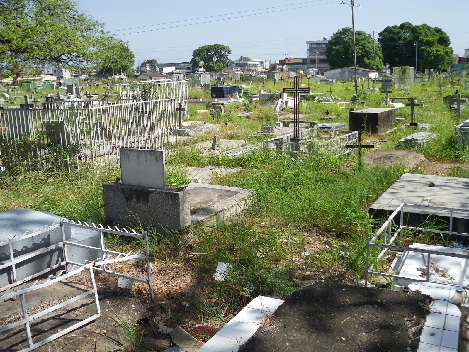 Cementerio viejo de San Fernando convertido en una selva y guarida de