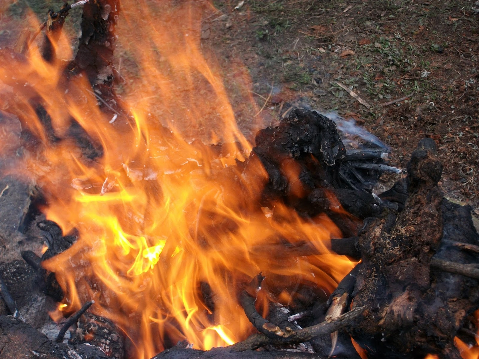 Tá pegando fogo, bicho!, É assim que se acende uma fogueira! #tecmundo, By TecMundo