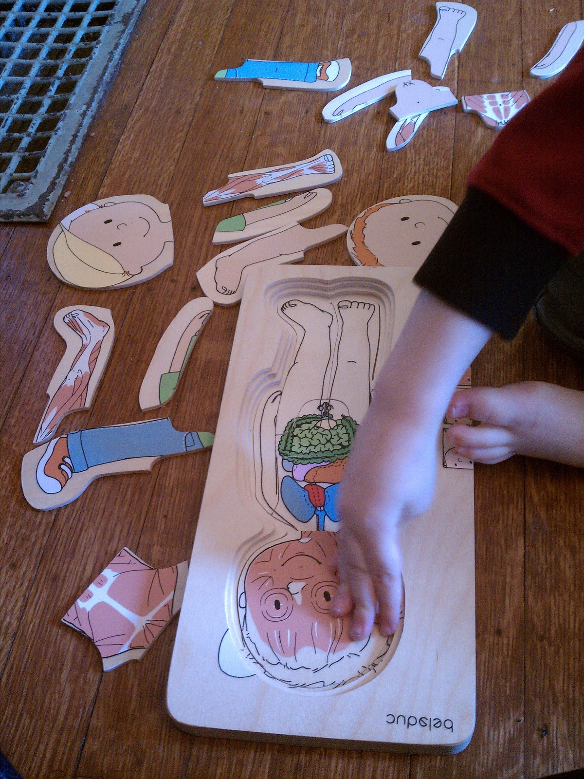 A Very Happy Mama's Life: Preschool Theme: Human Body/Birthday books