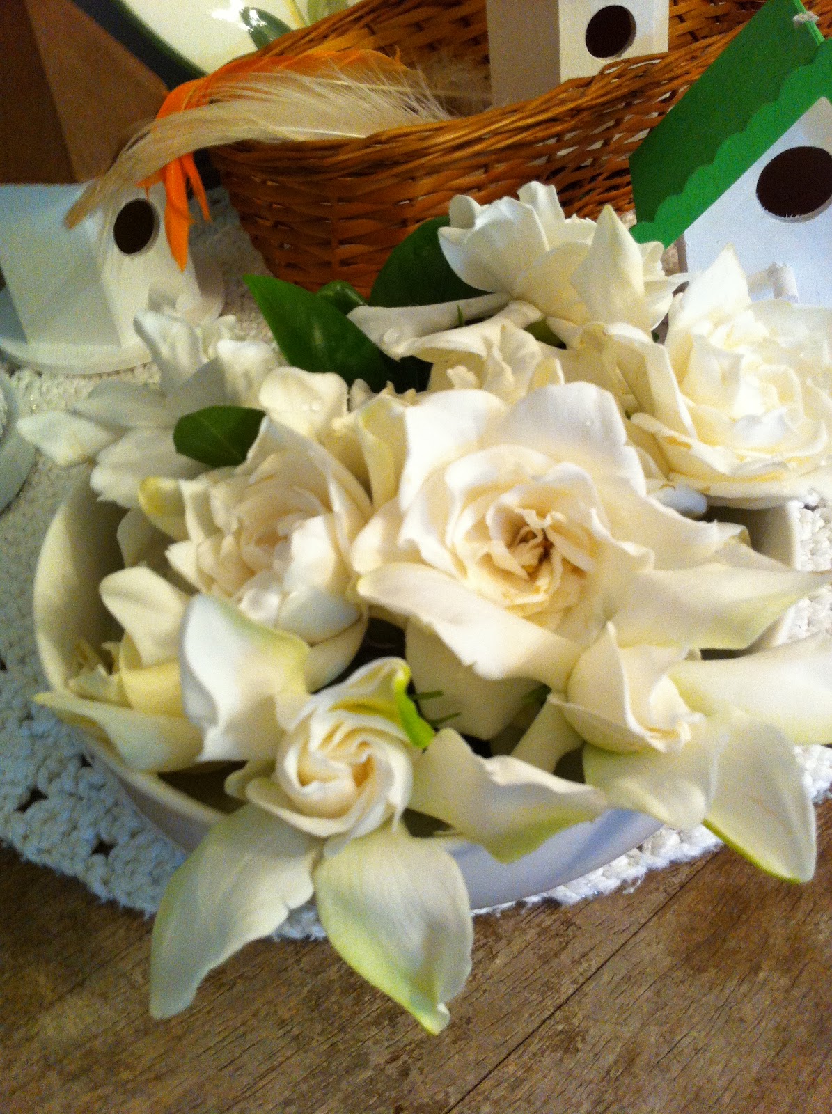 The Wonders of Doing What can I do with all these Gardenias