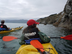 sea kayaking at Cable Bay, Nelson