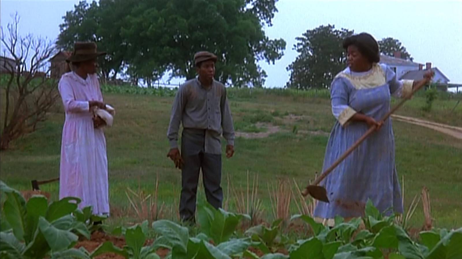 Colorful Photos : Color Purple Movie.