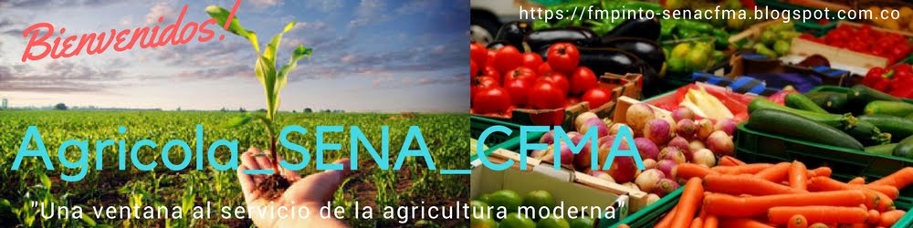                                                                           Agricola_SENA_CFMA
