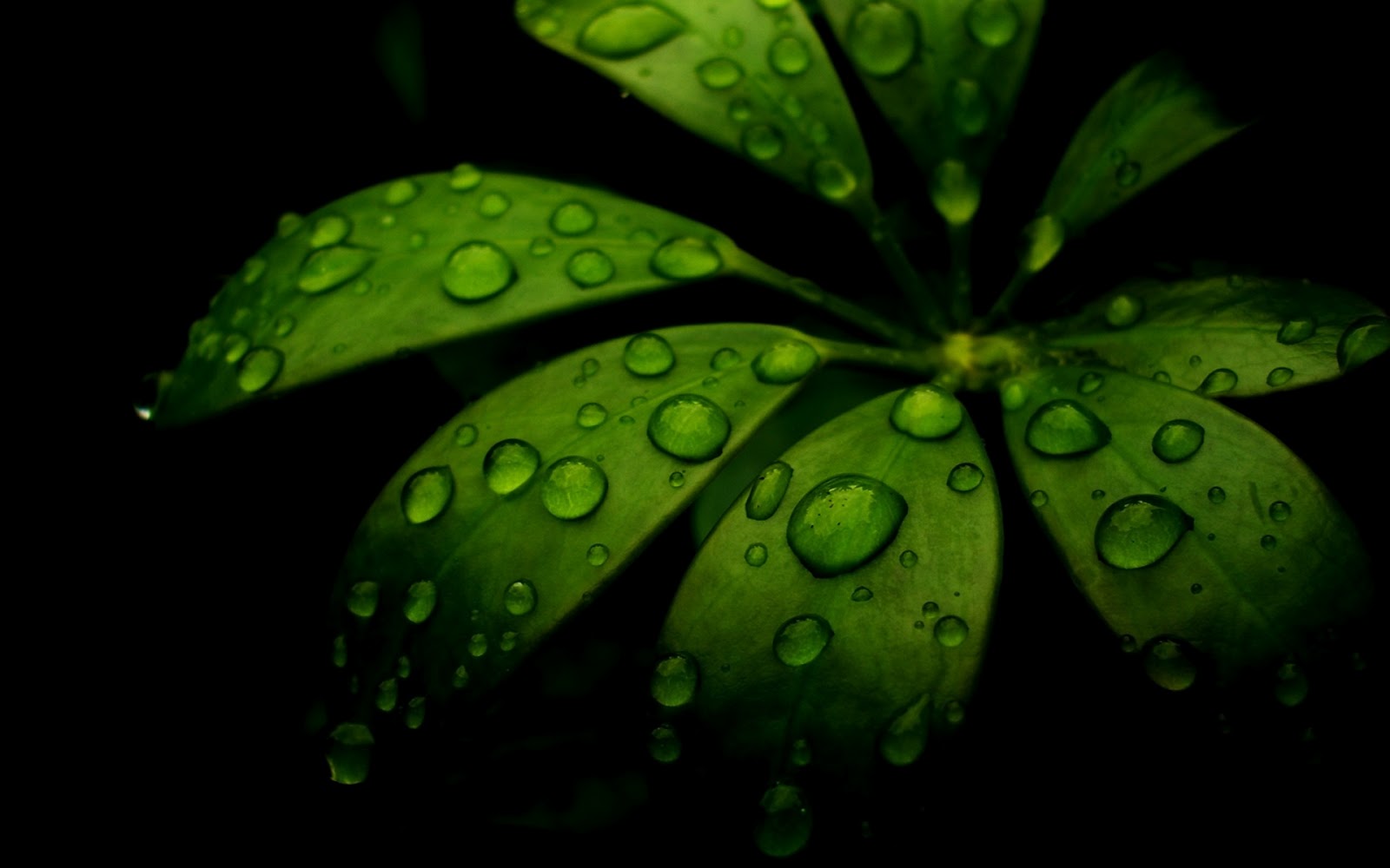 http://1.bp.blogspot.com/-JwAbSd77FBw/T13q2ZjA4YI/AAAAAAAAYhk/j4R5fR6xfJg/s1600/Windows+7+and+Ubuntu+(21).jpg