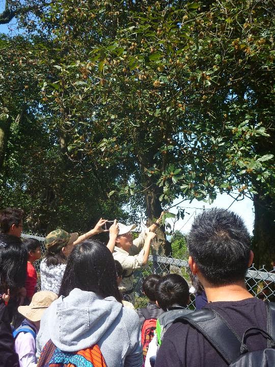 ←在起點,山蝸牛便有值得解說的植物。