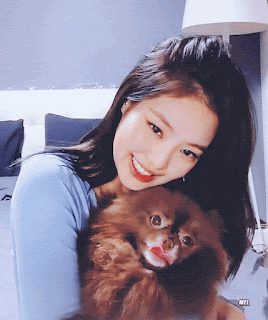1564920357%2B%25281%2529.gif