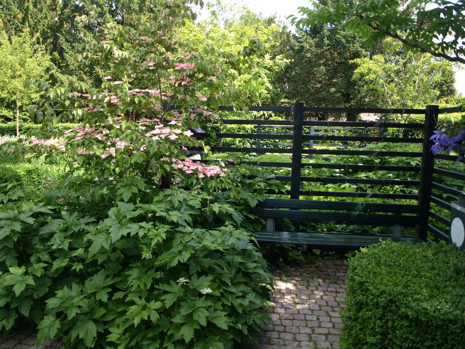 1000 images about hegn on pinterest