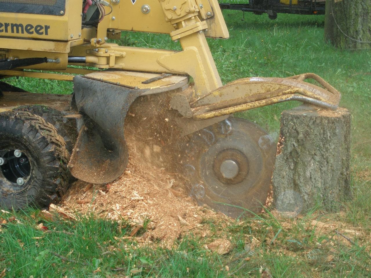 Professional Stump Grinding Services Arlington, Washington Brads