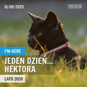 Jeden dzień z życia Hektora