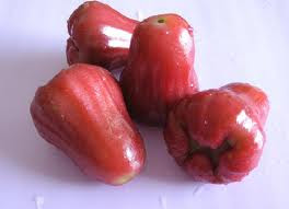 Garam Belacan