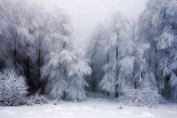 Fotografías paisajes invernales