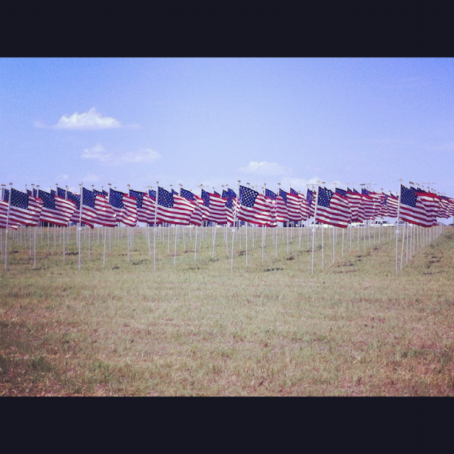 E3 Creations Field of Flags