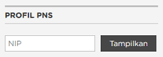 PROFIL PNS