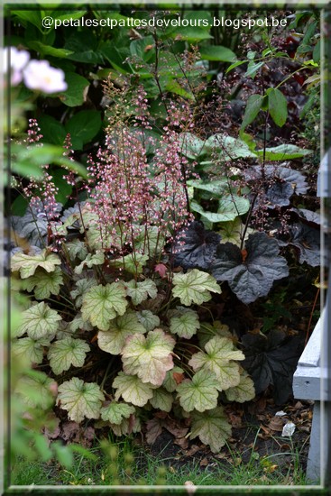 Tony S Blog Lemon Scents