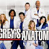 Grey's Anatomy :  Season 10, Episode 8