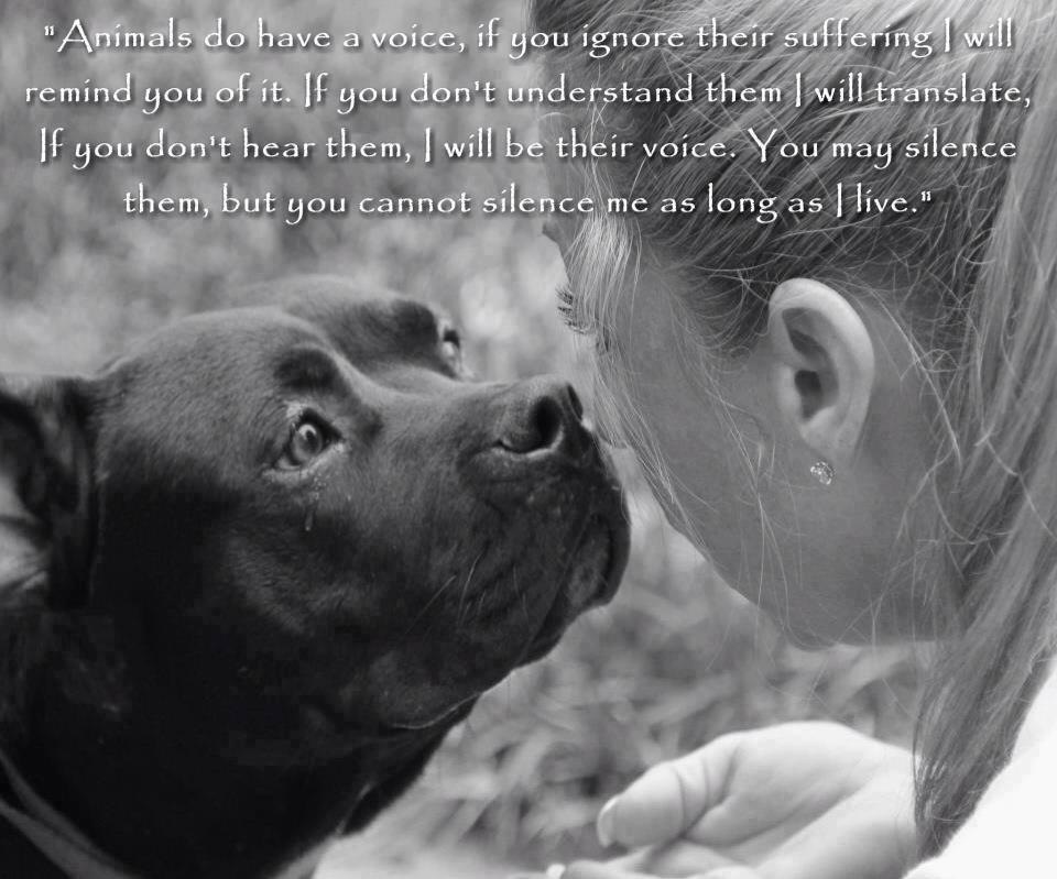 Caim Animal Rescue Network: Animals have a voice