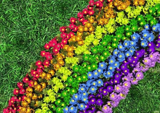 Rainbow Flowers Wallpapers Free Download