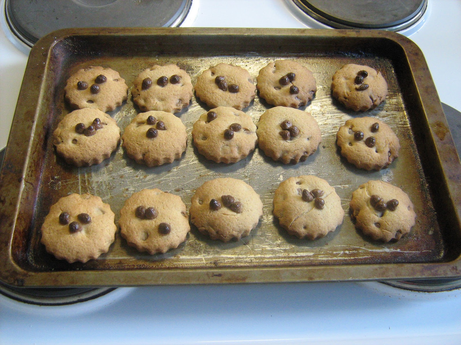 Nova Cooks Basic Biscuits Function of Ingredients