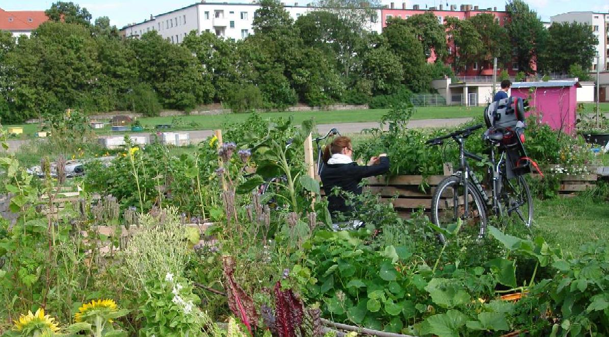 NEUKÖLLN GOES COUNTRY "Urban Gardeners" erobern die Städte Interview