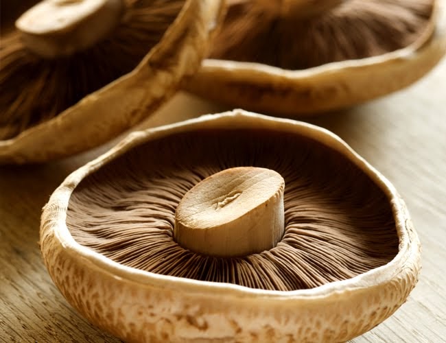 Food for Thought 3 Delicious Portobello Mushroom Recipes