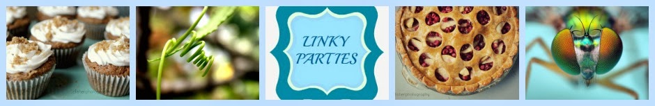 LINKY PARTIES