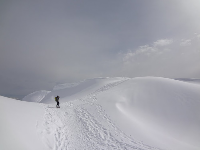 hiking mt. seymour